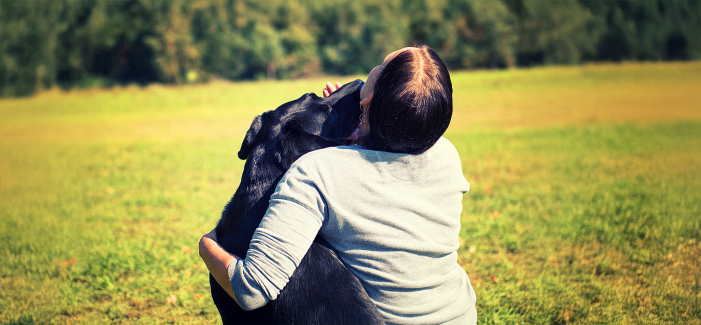 Owner and dog connecting during a calm scentwork session, symbolising trust, partnership, and understanding