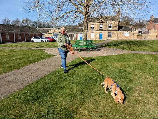 Louise giving a dog time to sniff and explore on a long line during a 1:1 training session